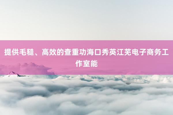 提供毛糙、高效的查重功海口秀英江芜电子商务工作室能