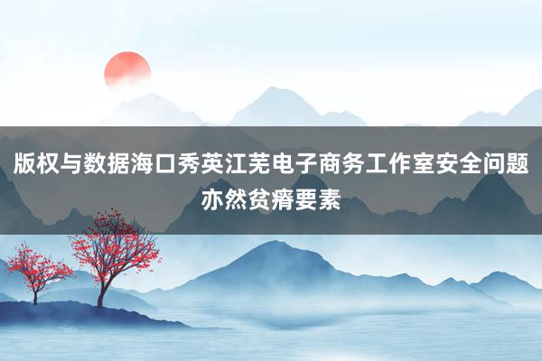 版权与数据海口秀英江芜电子商务工作室安全问题亦然贫瘠要素