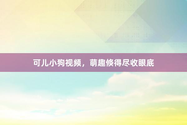 可儿小狗视频,萌趣倏得尽收眼底