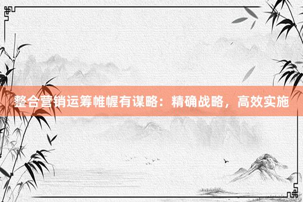 整合营销运筹帷幄有谋略:精确战略,高效实施